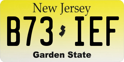 NJ license plate B73IEF
