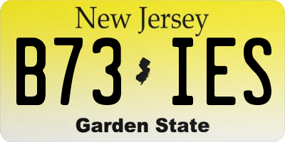 NJ license plate B73IES