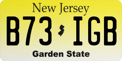 NJ license plate B73IGB