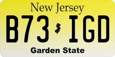 NJ license plate B73IGD