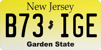 NJ license plate B73IGE