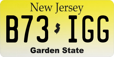NJ license plate B73IGG