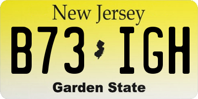 NJ license plate B73IGH