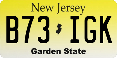 NJ license plate B73IGK