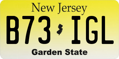 NJ license plate B73IGL