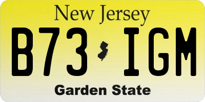 NJ license plate B73IGM