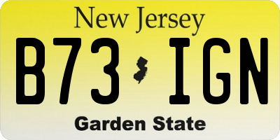 NJ license plate B73IGN