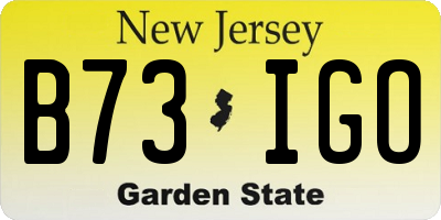 NJ license plate B73IGO
