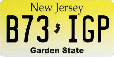 NJ license plate B73IGP