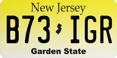 NJ license plate B73IGR