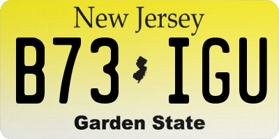 NJ license plate B73IGU