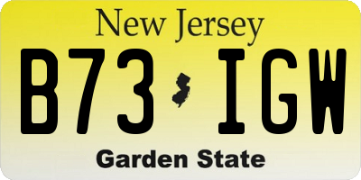 NJ license plate B73IGW