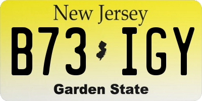 NJ license plate B73IGY