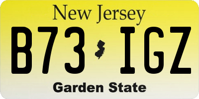NJ license plate B73IGZ