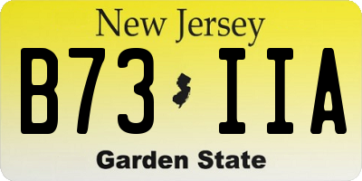 NJ license plate B73IIA