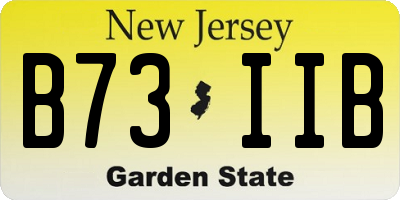 NJ license plate B73IIB