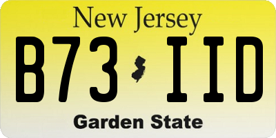 NJ license plate B73IID