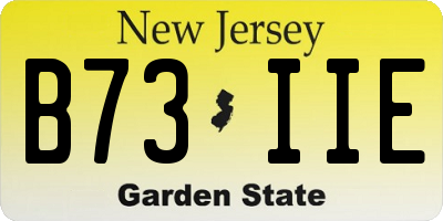 NJ license plate B73IIE