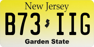 NJ license plate B73IIG