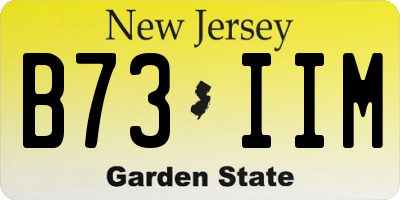 NJ license plate B73IIM