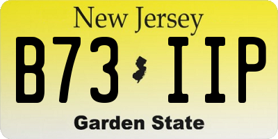 NJ license plate B73IIP