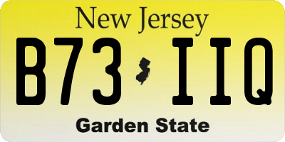 NJ license plate B73IIQ