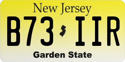 NJ license plate B73IIR