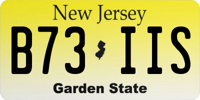 NJ license plate B73IIS