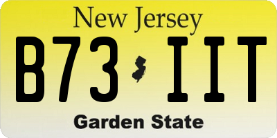 NJ license plate B73IIT