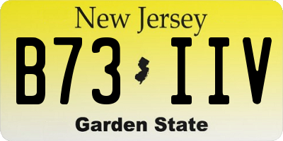 NJ license plate B73IIV