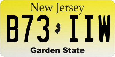 NJ license plate B73IIW