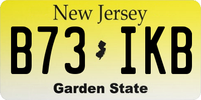 NJ license plate B73IKB