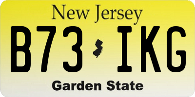 NJ license plate B73IKG