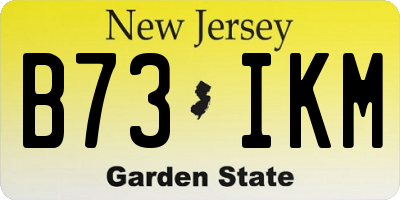 NJ license plate B73IKM