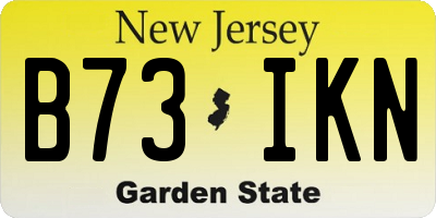 NJ license plate B73IKN