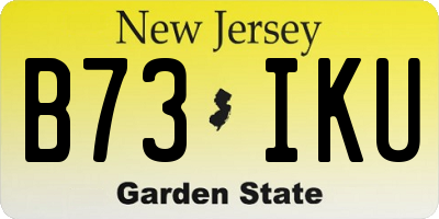 NJ license plate B73IKU