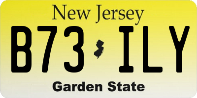 NJ license plate B73ILY
