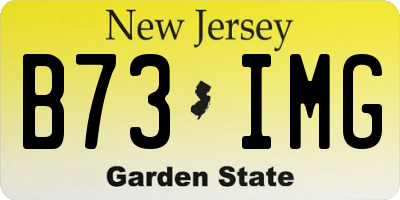 NJ license plate B73IMG