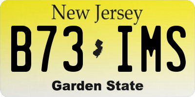 NJ license plate B73IMS