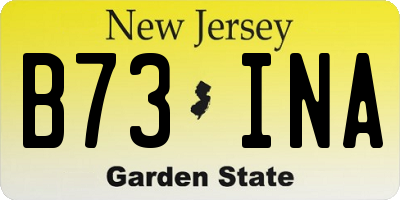 NJ license plate B73INA