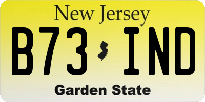NJ license plate B73IND