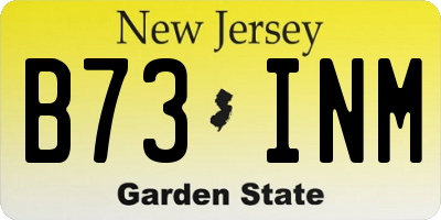 NJ license plate B73INM