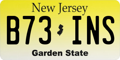 NJ license plate B73INS