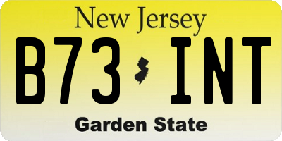 NJ license plate B73INT