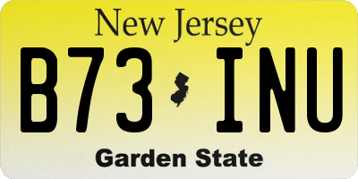 NJ license plate B73INU