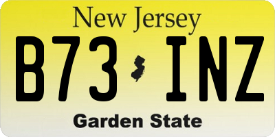 NJ license plate B73INZ