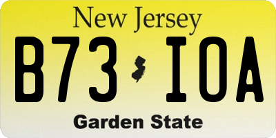 NJ license plate B73IOA