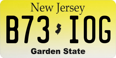 NJ license plate B73IOG
