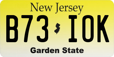 NJ license plate B73IOK