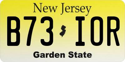 NJ license plate B73IOR
